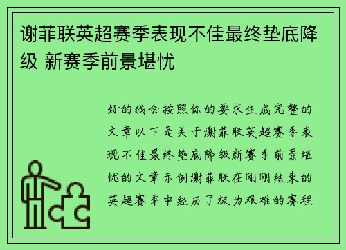谢菲联英超赛季表现不佳最终垫底降级 新赛季前景堪忧 谢菲联英超赛季表现不佳最终垫底降级 新赛季前景堪忧